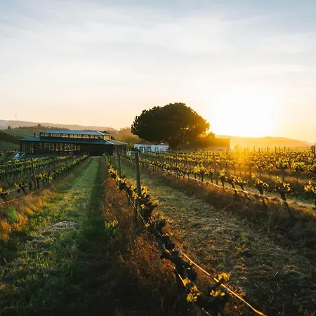 Quinta Da Boa Esperanca Farmház *