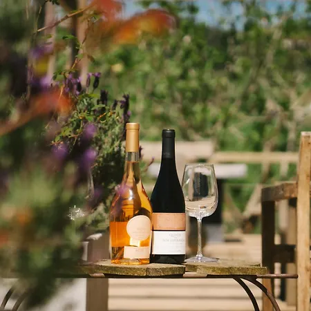 Quinta Da Boa Esperança * Torres Vedras