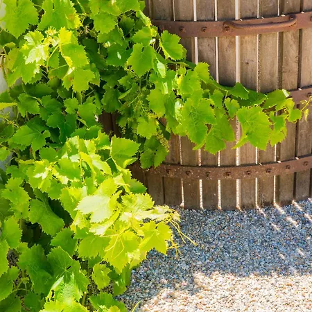 Quinta Da Boa Esperança Séjour à la ferme *